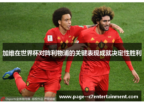 加维在世界杯对阵利物浦的关键表现成就决定性胜利 加维在世界杯对阵利物浦的关键表现成就决定性胜利