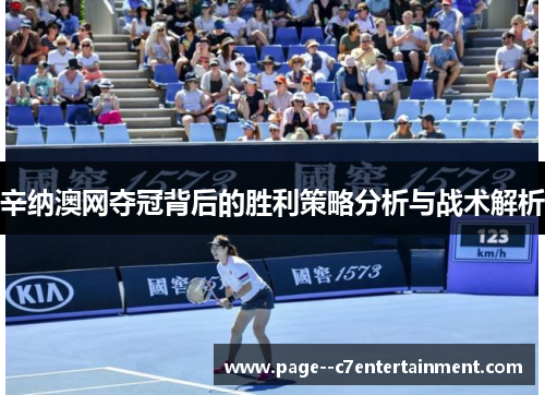 辛纳澳网夺冠背后的胜利策略分析与战术解析
